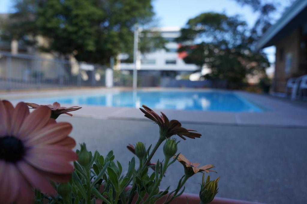 Panorama Motor Inn Newcastle Esterno foto